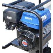 Двигатель бензиновый AP190F для TSS PGST100/ 20260-02030-01/50002-02842-00